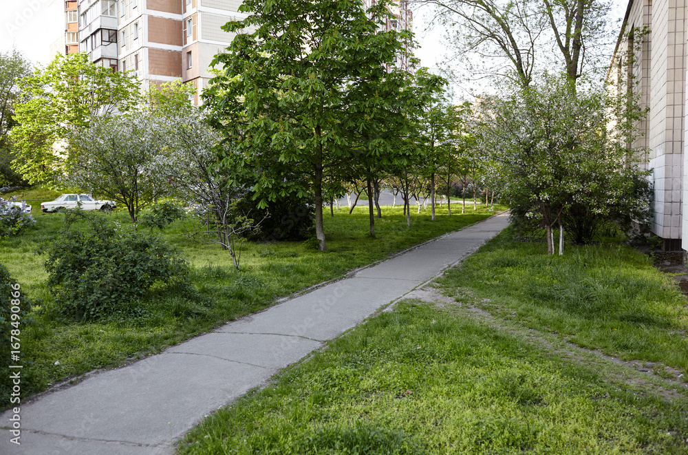 Obraz premium Walkway surrounded by trees and lawns in Kyiv, Europe. Recreation place in the city street