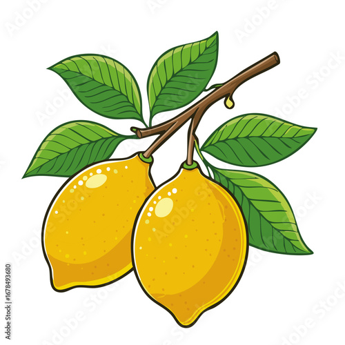 Lemons on a branch vector illustration flat. Image of a branch with yellow citrus fruits and leaves. For packaging and design.	