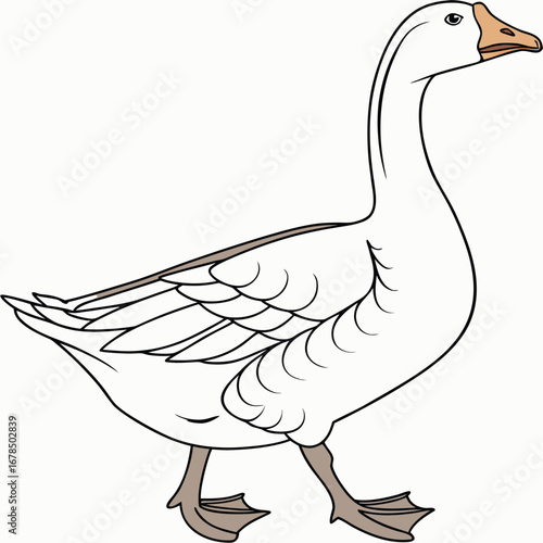 A side-view illustration of a white domestic goose walking, depicted with black outlines and a plain white background.