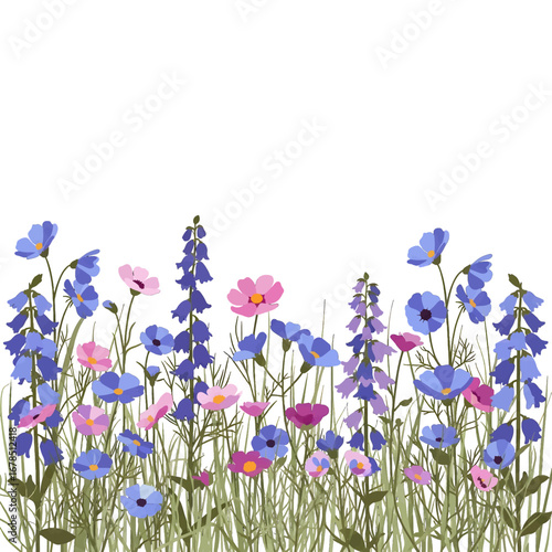 Botanical Floral Field with Blue and Pink Wildflowers in Green Grass a Decorative Nature Illustration on a White Background