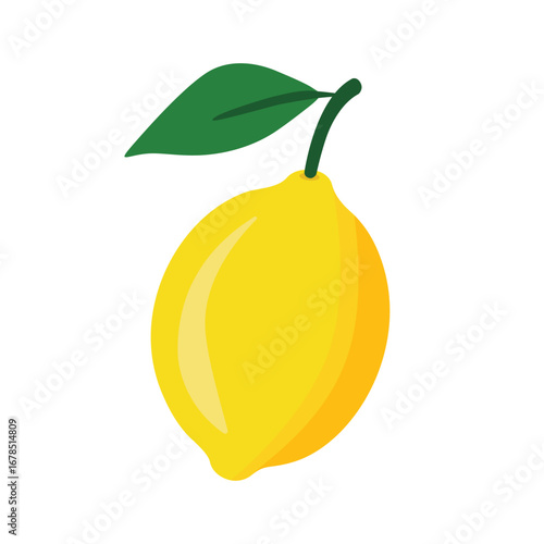 Fresh lemon fruit isolated on white, vector illustration