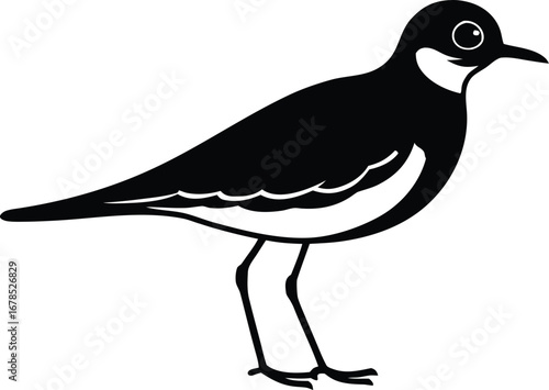 plover bird silhouette vector illustration