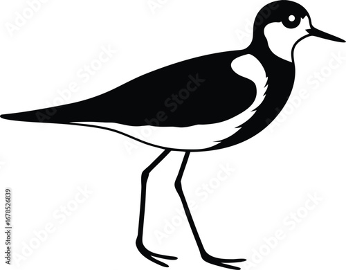 plover bird silhouette vector