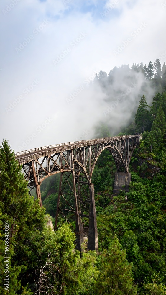Fototapeta premium Misty mountain bridge