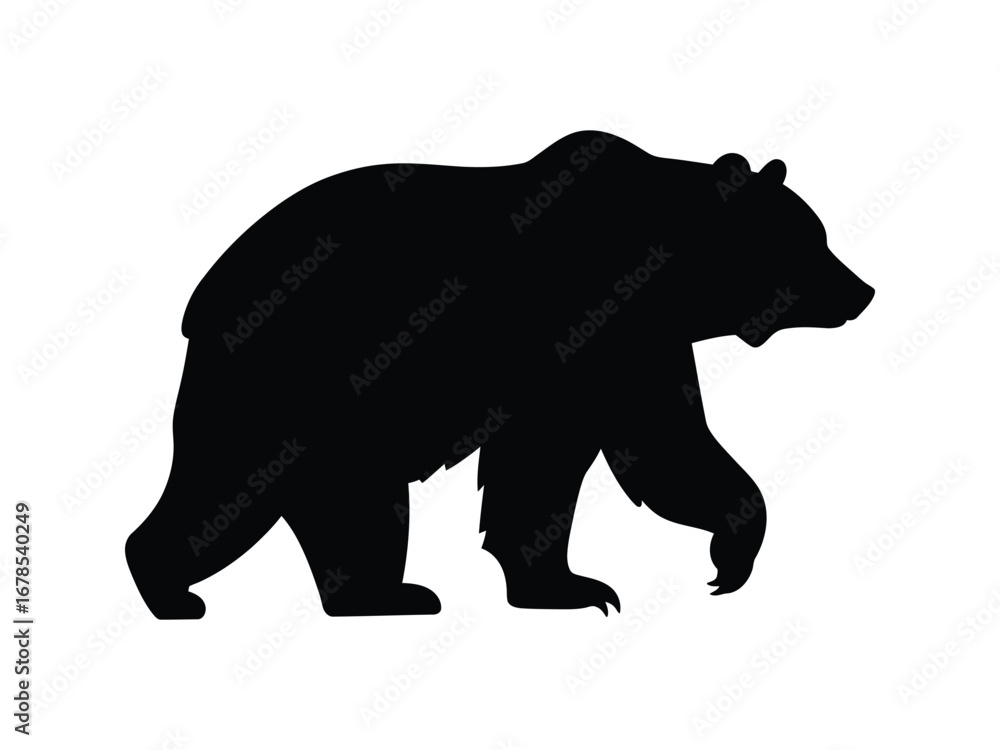 Fototapeta premium Black Bear Silhouette Walking on White Background