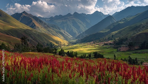 Mountain valley, vibrant fields, Andean landscape