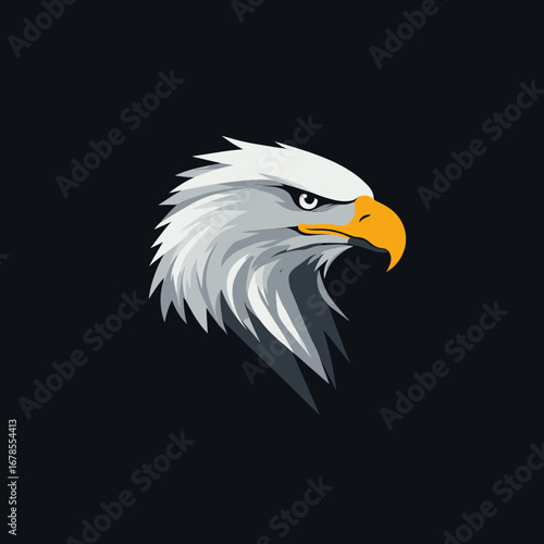 Vector illustration of fierce bald eagle head with white feathers and yellow beak on dark background for logo design and branding concept