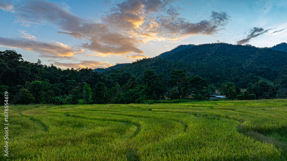 Obraz premium Temple and Fields Linked by a Bamboo Path Peaceful Journey Over the Boon Ko Ku So Bridge A Serene Walk Across Stepped Rice Terraces Pai’s Tranquil Bamboo Bridge Through the Paddies Bamboo Bridge Over 