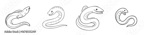Moray Eel vector illustration featuring a cute cartoon mix of elements in a playful and colorful style.
