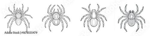 Tarantula vector illustration featuring a cute cartoon mix of elements in a playful and colorful style.