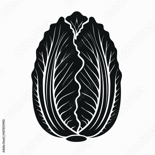 Napa Cabbage vector icon illustration with simple shapes and elegant lines.