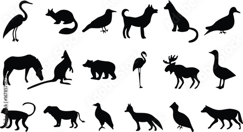 Silhouettes of diverse animals including birds, mammals, and wildlife species, arranged in rows for educational, artistic, and design purposes