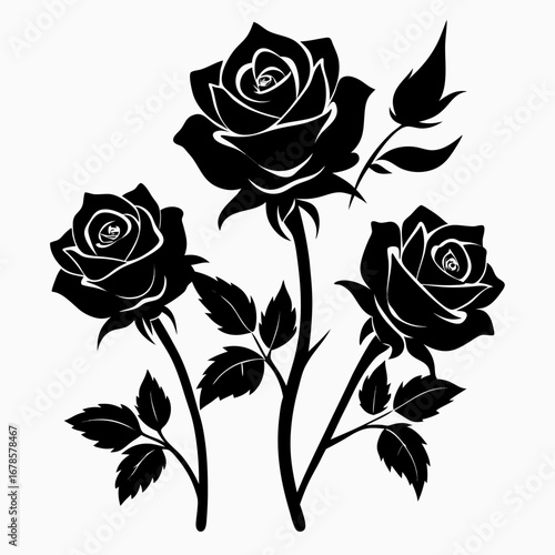 Mystic Roses Bundle Black Silhouette Vector Illustration on White Background