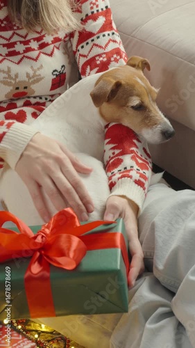 Woman wearing Christmas sweater preparing with pet for winter holidays, holding cup of hot chocolate with marshmallows. Jack Russell terrier dog lying on female laps near gifts and festive lights