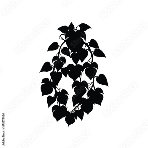 Elegant botanical silhouette depicting a wreath or cascade of leaves and vines, jungle creeper plant silhouette vector illustration