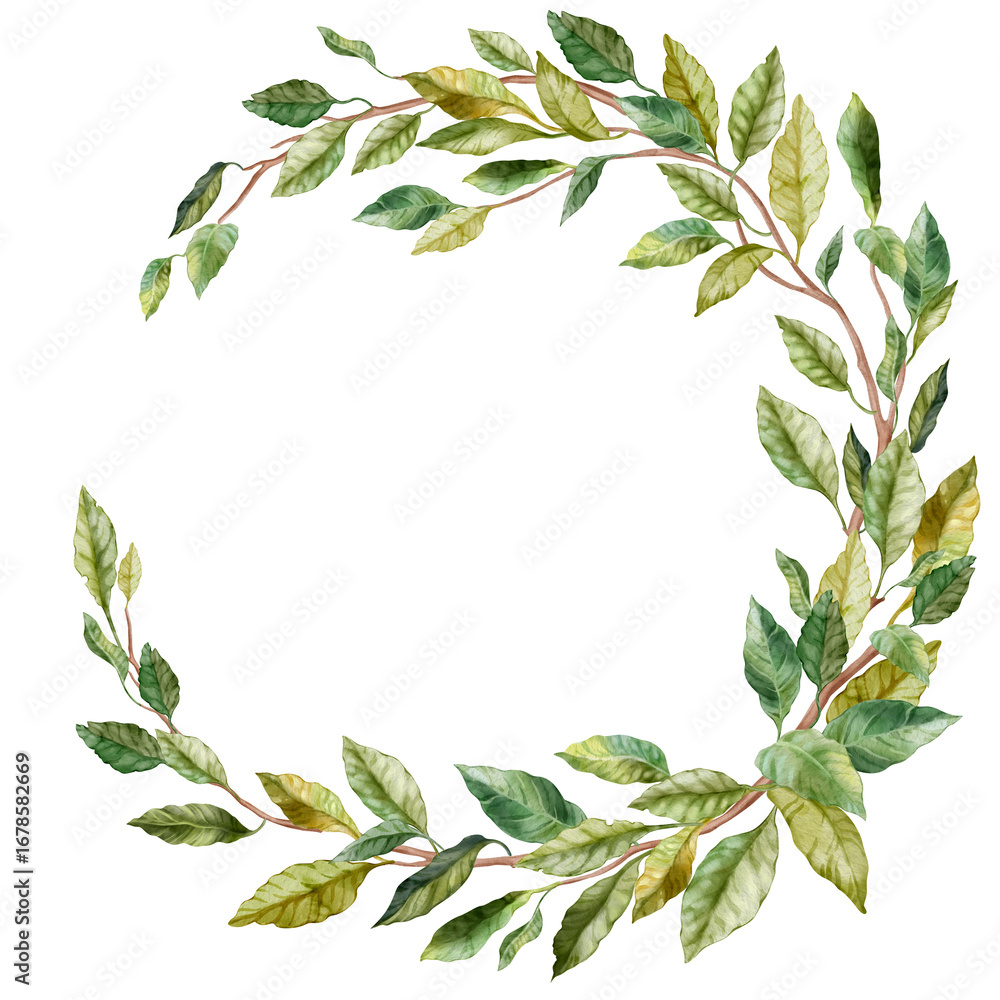 Naklejka premium Round natural frame of branch with lush green leaves. Watercolor illustration of leafy circular wreath in sickle shape. For flower shop, printing on postcards, greeting cards, business cards, etc