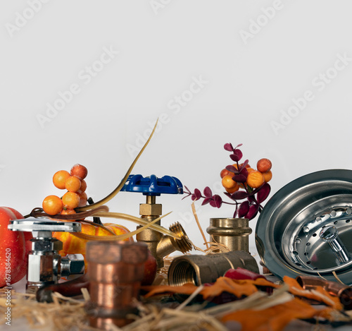 Plumbing service concept with tools and autumn leaves with copy space at the top.