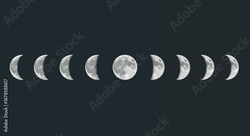 A vector illustration depicts the various phases of the moon against a dark sky, offering a celestial design element suitable for educational or decorative purposes.
