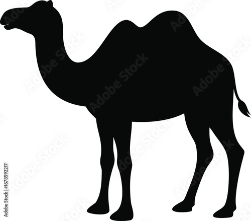 Dromedary camel silhouette standing profile view iconic desert animal simple black shape isolated silhouette