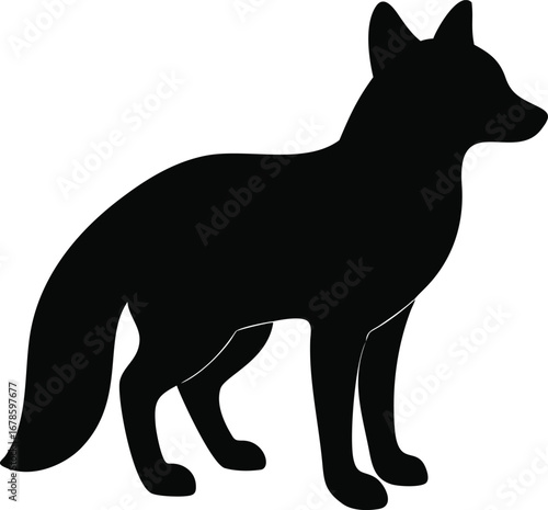 Black silhouette of a fox standing alertly with its tail curled forward and ears perked high silhouette