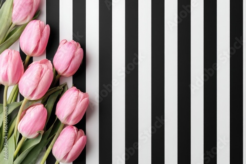 Pink tulips on a black and white striped background
