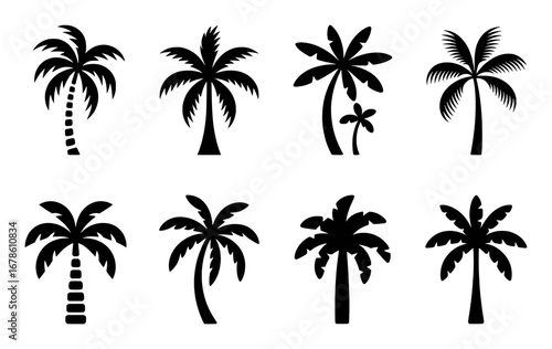 Collection of Black Silhouette Palm Trees on White Background