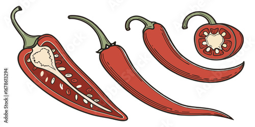 Slices of raw jalapeno pepper. vector illustration