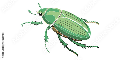 Green bug vector illustration clean and sharp inking style