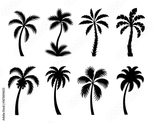 Collection of eight black silhouette palm trees on a white background