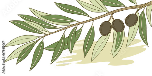 Cartoon set of olive tree branches on white