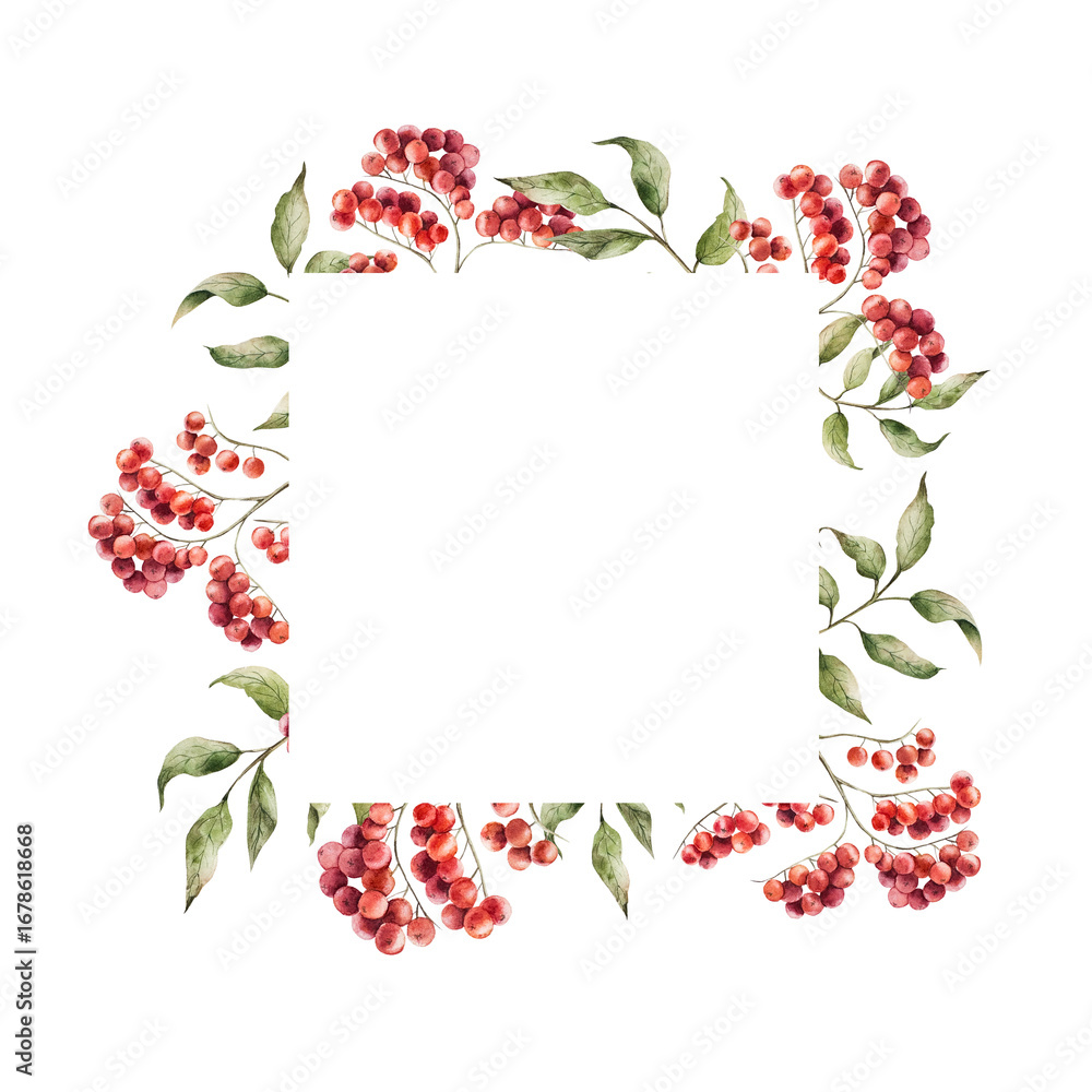 Fototapeta premium Watercolor frame, logo, template with bunch of rowan berries. Botanical hand drawn illustration isolated on background. Ideal for seasonal, halloween, forest, or nature-themed designs. Rustic foliage