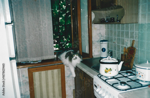 Young cat sitting on a kitchen windowsill in a typical Ukrainian apartment interior, early 2000s analog photography with soft natural lighting
