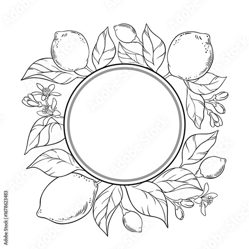 Lemon Branch with Flowers, Fruits and Leaves Outline Round Frame. Organic natural nutritional healthy food ingredient, vegetarian diet product. Vector isolated for design or decoration.