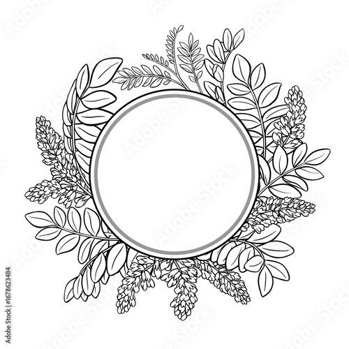 Licorice Branch with Flowers and Leaves Outline Round Frame. Vector isolated for design or decoration.