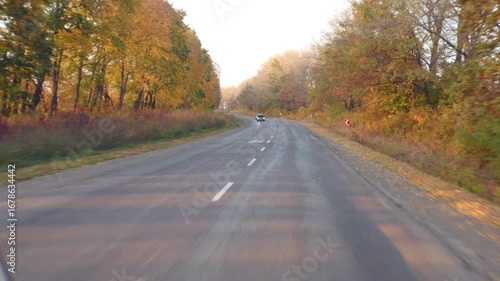 Wallpaper Mural Driving forward on an empty asphalt road that passes through a magical autumn forest. Torontodigital.ca