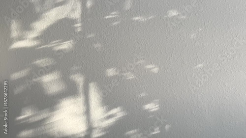 Shadow of swaying leaves on a grey wall. Abstract background