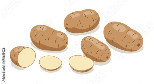 Realistic isometric potatoes with whole and sliced views on white background