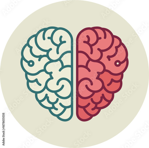 Heart and brain combined symbolizing emotional intelligence and balance
