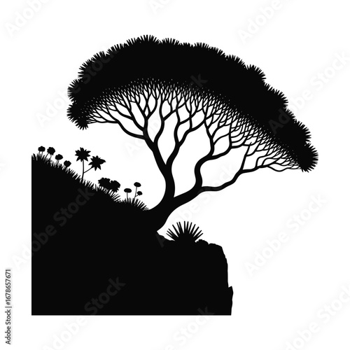Silhouette of an iconic acacia tree on a grassy hillside under a white background