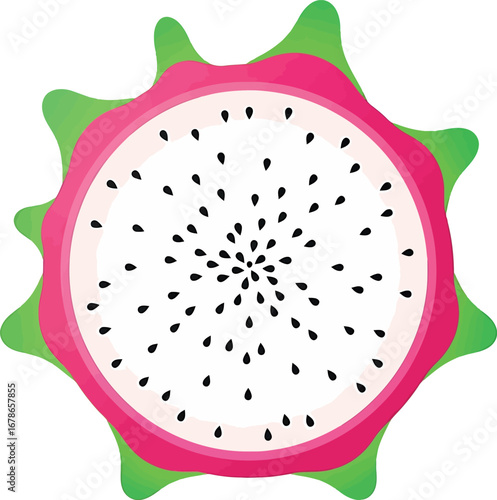 Vector illustration of a halved avocado with a large pit, isolated on a transparent background