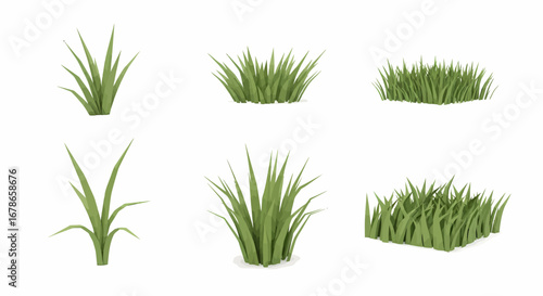 Six digital renderings of grass tufts, varying in size and shape, isolated on a white background.