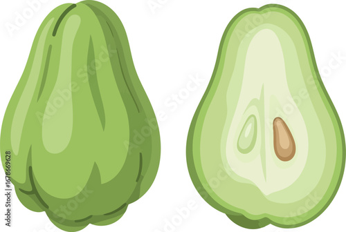 Fresh chayote squash whole and halved isolated green vegetable illustration vector