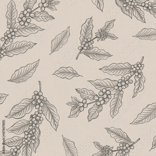 コーヒーの木の線画ベクターイラスト（ベージュ背景）
