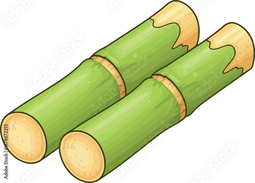 Fresh sugarcane stalks healthy green natural sweetness agriculture tropical raw ingredient vector