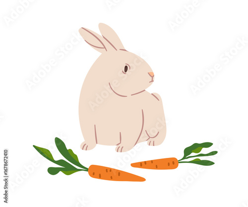 Rabbit with carrots. Cute bunny with vegetable feed. Domestic farm animal, he...