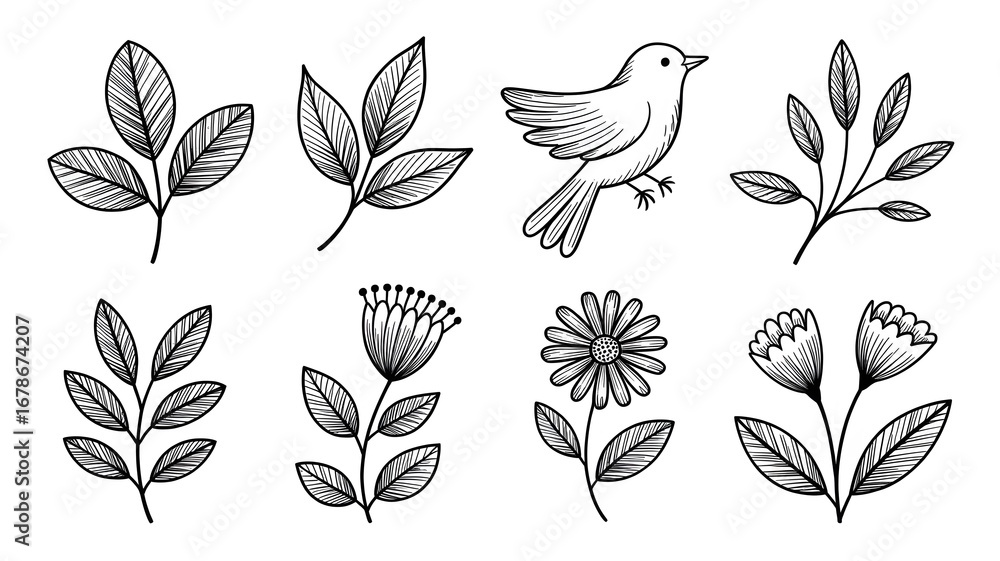 set of floral elements