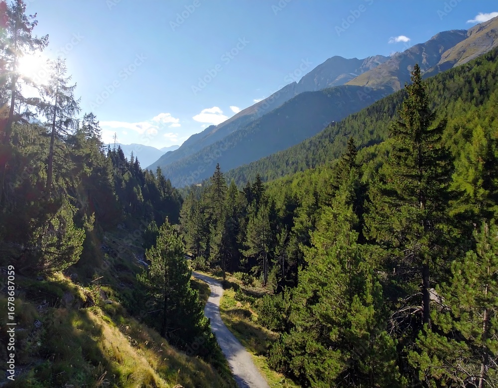 Obraz premium Sunny mountain valley with a winding road