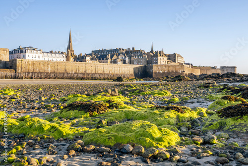 Saint-Malo old city view with city wall and low tide seaweed beach