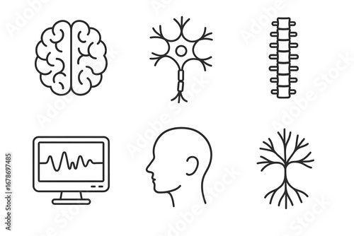 Simplified neuroanatomy icons: brain, neurons, spine, eeg, head profile