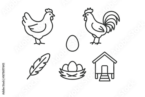 Chickens and farm elements: hen, rooster, egg, feather, nest, coop
